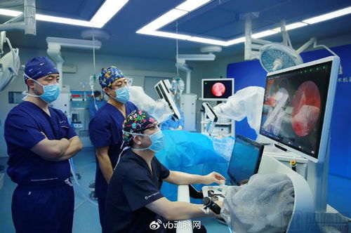 歌銳科技“牛頓”手術機器人完成全球首次動物活體實驗，引領智能精準外科新紀元